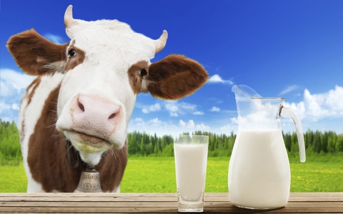 Sữa bò là thức uống khá phổ và có nhiều sản phẩm làm từ nguyên liệu này. Vậy bạn có biết những sản phẩm nào có nguồn gốc từ sữa bò chưa?