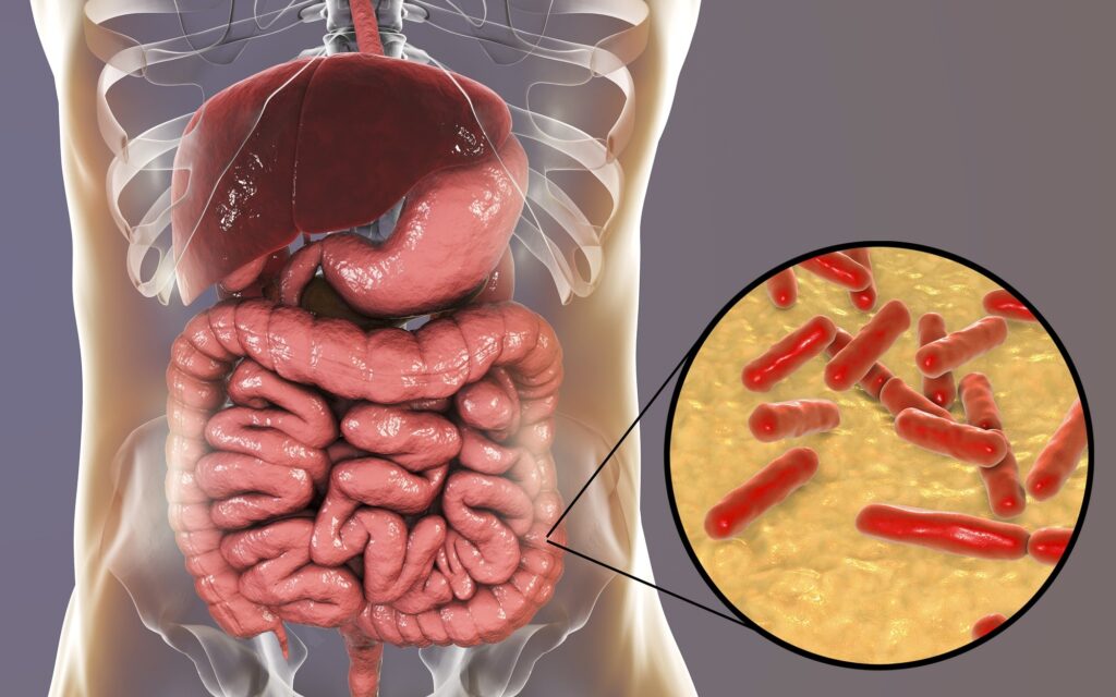 Vai trò quan trọng của các probiotics đối với hệ đường ruột khoẻ mạnh