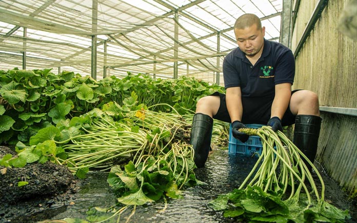 Một số thực phẩm sinh trưởng trong môi trường khác biệt nên có giá cao. Vì vậy, những thực phẩm đắt tiền này chỉ dành riêng cho giới nhà giàu