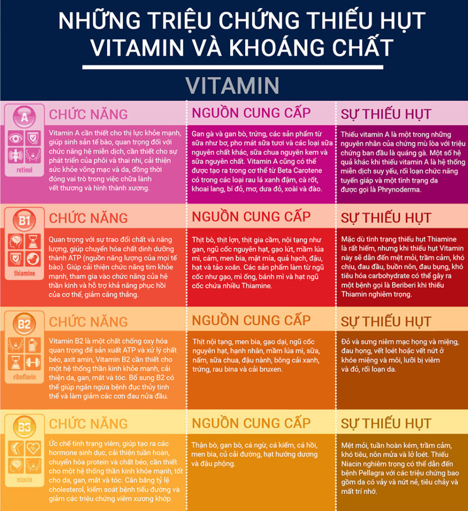 Bạn sẽ không cần phải lo về vấn đề thiếu hụt vitamin và khoáng chất nếu có thói quen tiêu thụ đa dạng nhiều loại thực phẩm.