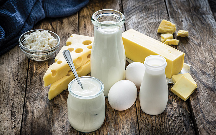 Nấm men và nấm mốc có thể sử dụng để sản xuất ra protein có tính chất giống như protein từ trứng và sữa đang là đề tài được quan tâm.