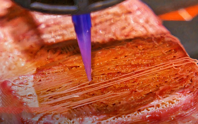 Người ta đã làm được thịt bò Wagyu 3D nhân tạo đầu tiên trên thế giới. Loại thịt bò Wagyu 3D này rất giống thịt bò Wagyu thật