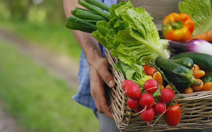 Bài viết này, Foodnk sẽ cung cấp cho bạn những chiến lược nghiên cứu và phát triển về ngành nông nghiệp hữu cơ...