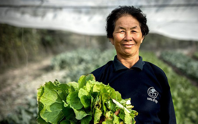 Bài viết này, Foodnk sẽ cung cấp cho bạn những chiến lược nghiên cứu và phát triển về ngành nông nghiệp hữu cơ...