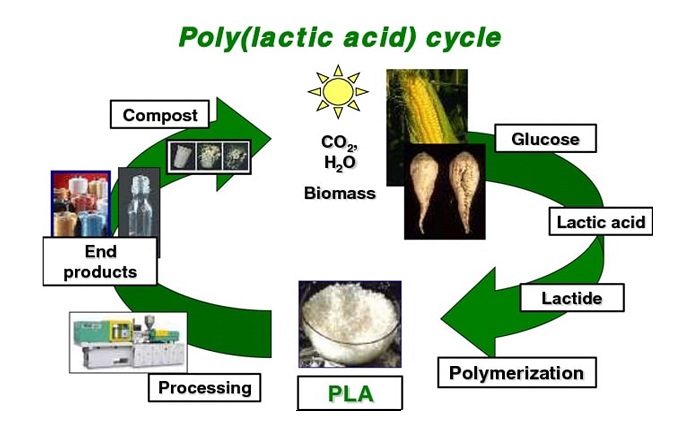 Bao bì bioplastic lại có khả năng bị phân hủy trong môi trường tự nhiên. Do đó, bao bì polymer sinh học không gây ô nhiễm môi trường.