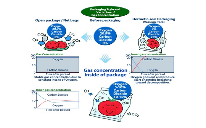 Bảo quản rau quả bằng phương pháp MAP (Modified Atsmosphere Packaging) là phương pháp điều chỉnh thành phần khí quyển bên trong bao gói.