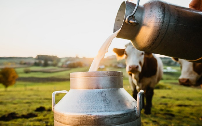 Chất lượng sữa nguyên liệu dùng trong sản xuất sữa bột cần tuân theo Tiêu chuẩn quốc gia TCVN 7405:2018 về Sữa tươi nguyên liệu.