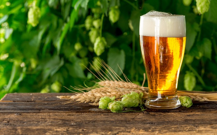 Các yếu tố ảnh hưởng đến quá trình đường hóa trong sản xuất bia bao gồm: nồng độ enzyme, nhiệt độ, pH, nồng độ cơ chất và thơi gian đường hóa.