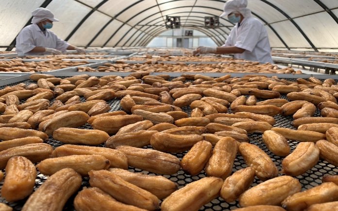 Ngoài sấy thăng hoa, sấy chân không,... thì phương pháp sấy bằng năng lượng mặt trời đang được áp dụng trong công nghệ thực phẩm...