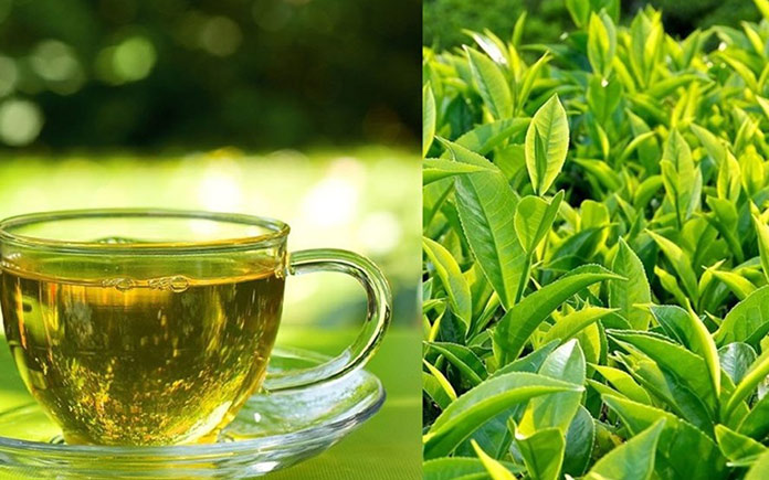 Trà xanh từ lâu đã không còn xa lạ gì đối với người tiêu dùng. Hãy cùng tìm hiểu về quy trình sản xuất chế biến trà xanh nhé.