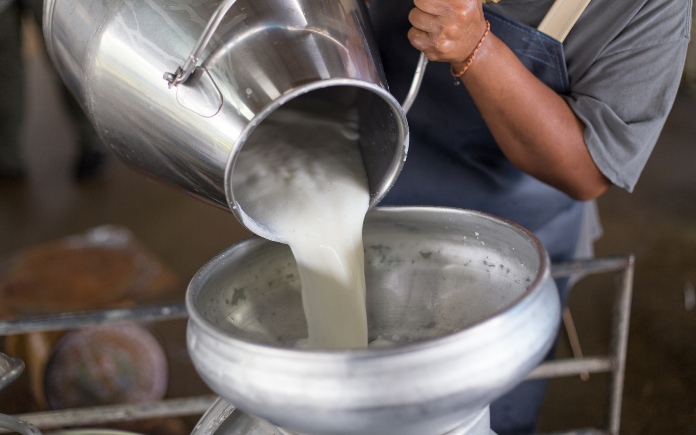 Quy trình sản xuất bơ trong quy mô nhà máy rất phức tạp. Đây là một quy trình khép kín từ khâu lựa chọn nguyên liệu đầu vào...