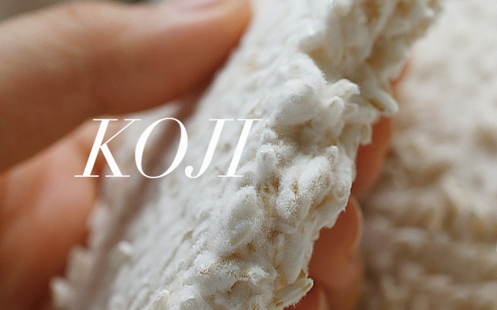Các món ăn Nhật Bản luôn sử dụng một loại mốc đặc trưng mà không nơi nào có được. Nó được gọi là mốc koji...