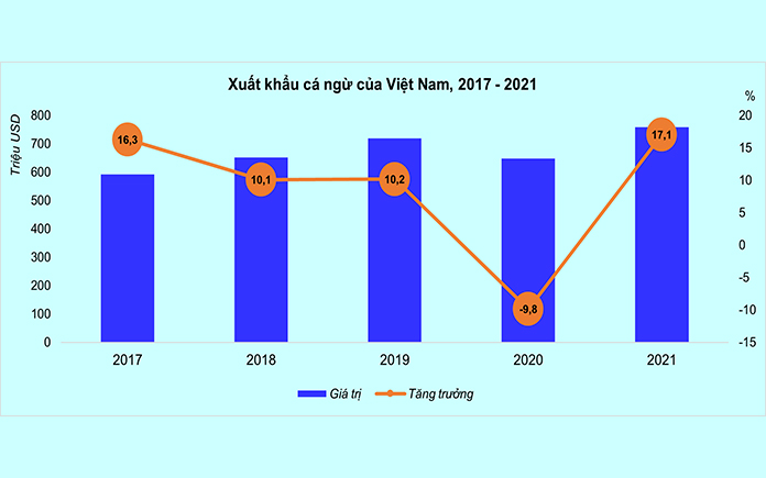 Cá ngừ hay cá ngừ đại dương là một trong những loài khá phổ biến. Cùng tìm hiểu về những thông tin thú vị về loài cá này trong bài viết sau.