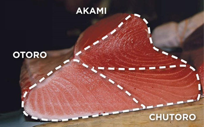 Cá ngừ hay cá ngừ đại dương là một trong những loài khá phổ biến. Cùng tìm hiểu về những thông tin thú vị về loài cá này trong bài viết sau.