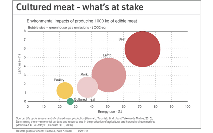 Thịt nuôi cấy sau 10 năm vẫn chưa phổ biến. Liệu đây là một thất bại trong ngành hay chỉ là do chưa có sự cải tiến phù hợp?