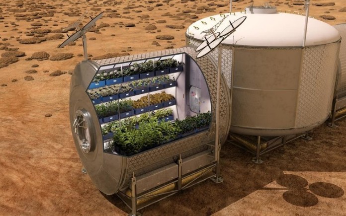 Hiện nay, việc trồng rau ngoài vũ trụ đã phát triển hơn mong đợi. Cụ thể hơn đó là trồng rau tại trạm ISS của NASA...