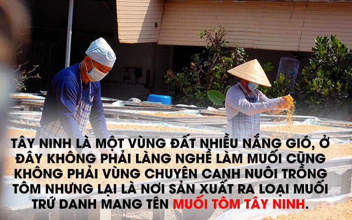 Tây Ninh là nơi đầy nắng gió, đây không phải làng nghề làm muối cũng không phải vùng nuôi tôm nhưng lại là nơi sản xuất ra muối tôm Tây Ninh.