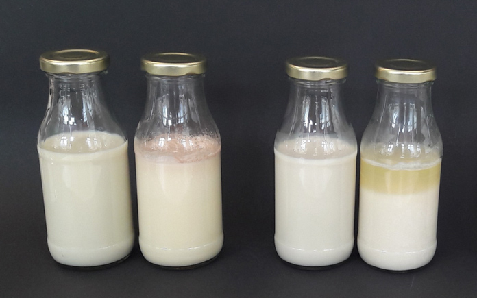 Trong bài viết này, Foodnk sẽ đi sâu vào các nguyên nhân gây hư hỏng của sữa thực vật và những tác nhân làm giảm thời hạn sử dụng của sữa. 