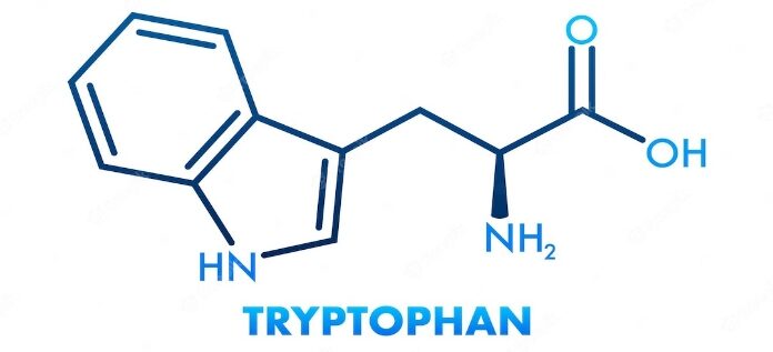Tryptophan được xem là chất kích thích chu kỳ thức - ngủ đối với cơ thể. Hơn hết, việc bổ sung chất tryptophan vào cơ thể chỉ thông qua...