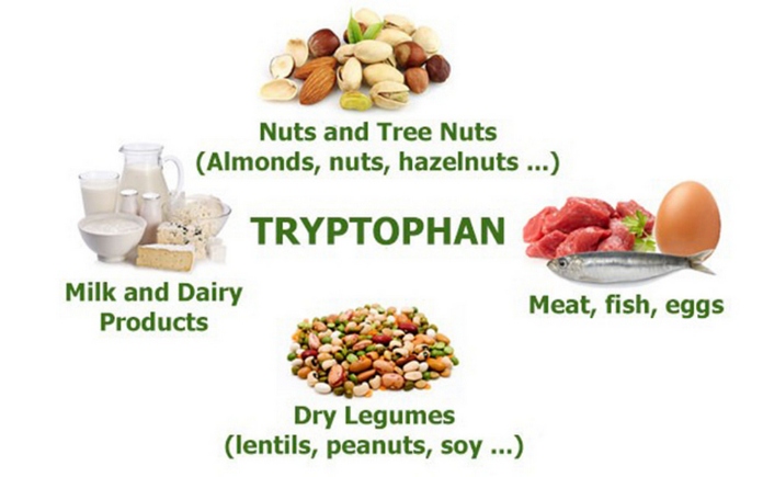 Tryptophan được xem là chất kích thích chu kỳ thức - ngủ đối với cơ thể. Hơn hết, việc bổ sung chất tryptophan vào cơ thể chỉ thông qua...