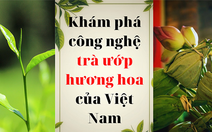 Tìm hiểu sự phức tạp của phương pháp ướp trà hoa cùng sự phức tạp để tạo ra một loại trà có hương vị độc đáo vượt xa loại trà truyền thống.