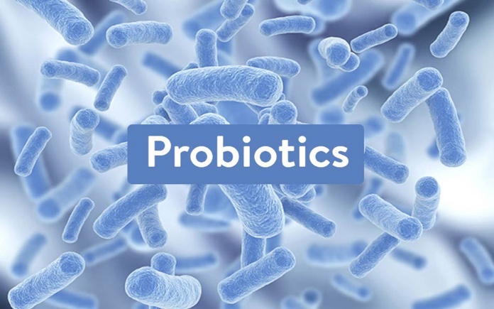 Lợi khuẩn Probiotic rất có ích cho cơ thể, đặc biệt là hệ tiêu hoá. Đây là vi sinh vật sống được tiêu thụ vào cơ thể qua thức ăn...