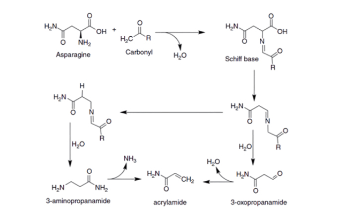 Cà phê rang hạt chứa acrylamide do quá trình rang hạt cà phê. Acrylamide trong cà phê là một chất gây ung thư tiềm năng và có thể gây hại...