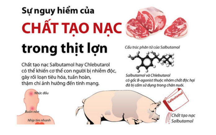 Chất tạo nạc Salbutamol (INN) được gọi là beta-2-adrenergic agonist. Salbutamol được cấu tạo bởi các hợp chất có nguồn gốc từ catecholamine