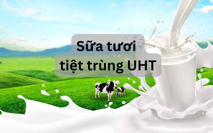 Sữa tiệt trùng UHT (Ultra high temperature) được qua xử lý ở nhiệt độ cao (135-140°C) trong 3-5 giây và làm mát (20°C) nhanh ngay sau đó.
