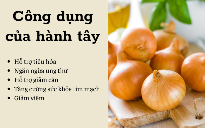 Hành tây, một loại thực phẩm đơn giản và phổ biến trong bếp của chúng ta. Tuy nhiên, không phải ai cũng biết rằng hành tây, mặc dù có vẻ...