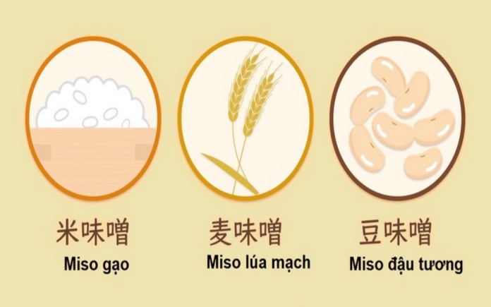 Trong phần trước, người đọc đã tìm hiểu tổng quan về tương Miso Nhật Bản. Ở phần này, Foodnk sẽ giúp bạn tìm hiểu về phân loại tương Miso...