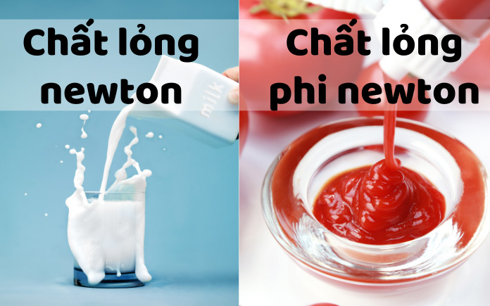 Chất lỏng Newton và phi Newton là hai loại chất lỏng có tính chất khác nhau khi chúng bị đặt trong điều kiện chảy...