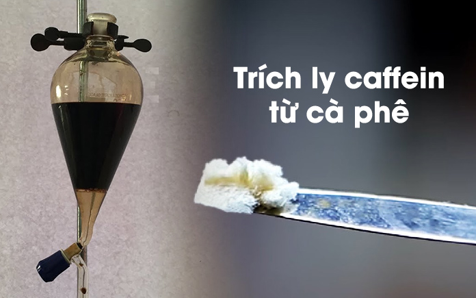 Trích ly là một trong những quá trình hóa lý được ứng dụng khá nhiều trong công nghệ thực phẩm. Trong bài viết dưới đây, hãy cùng Foodnk 