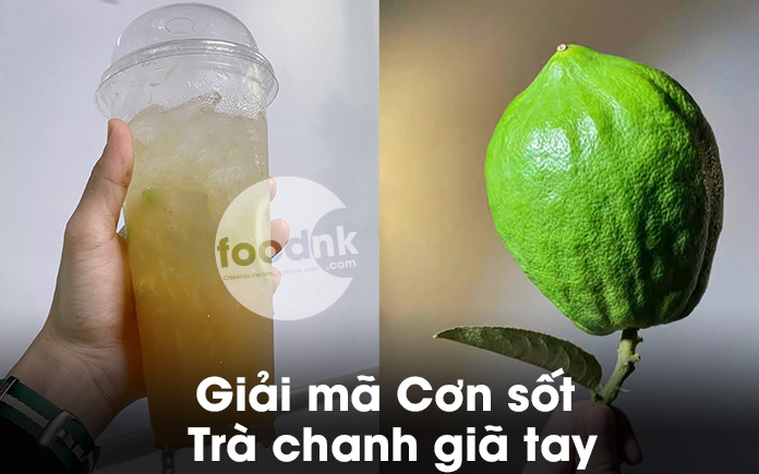 Hiện nay các tín đồ ẩm thực đã có dịp bắt trend mới là thức uống trà chanh giã tay. Foodnk sẽ cùng bạn tìm hiểu nguồn gốc và xuất xứ...