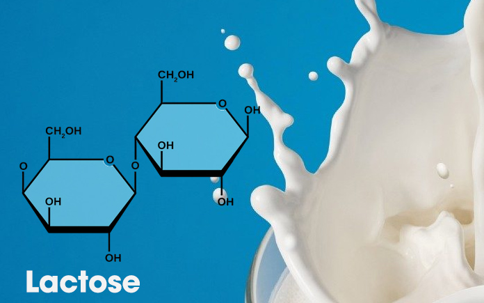 Thành phần chủ yếu của sữa bao gồm: nước, lactose, protein và các chất béo ngoài ra còn có một số hợp chất khác với hàm lượng nhỏ