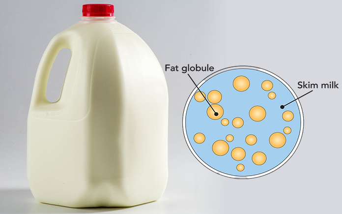 Thành phần chủ yếu của sữa bao gồm: nước, lactose, protein và các chất béo ngoài ra còn có một số hợp chất khác với hàm lượng nhỏ