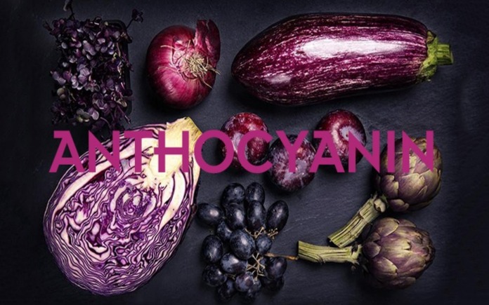 Anthocyanin là dưỡng chất mà cơ thể cần có để đáp ứng năng lượng mỗi ngày. Vậy Foodnk sẽ cùng bạn tìm hiểu về chất Anthocyanin này nhé...