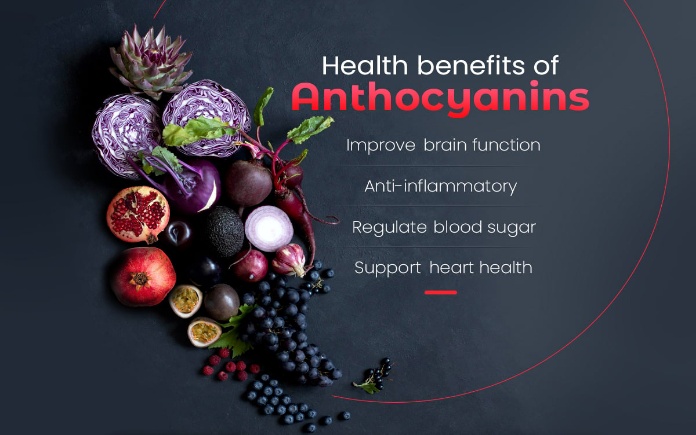 Nói đến Anthocyanin thì có nhiều điều cần biết. Ở phần trước, Foodnk đã cùng bạn tìm hiểu về chất Anthocyanin trong phạm vi tổng quan...