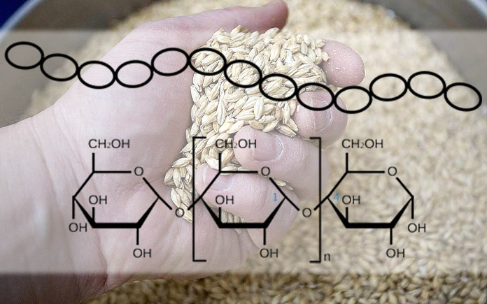 Cấu tạo của hạt ngũ cốc ảnh hưởng như thế nào đến quá trình sản xuất bia - và cách áp dụng kiến thức này vào quá trình sản xuất bia 