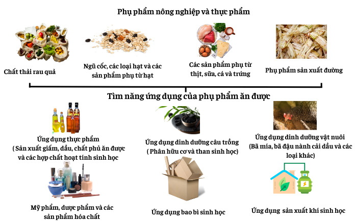 Công nghệ tái chế thực phẩm là quá trình chuyển đổi các phần thừa, thức ăn đã hỏng hoặc không được sử dụng thành sản phẩm thực phẩm mới....