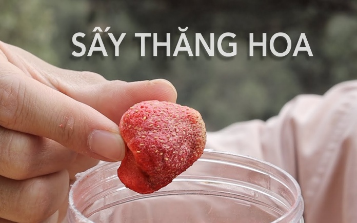 Sấy thăng hoa là phương pháp hiện đại được ưa chuộng. Tất nhiên sẽ có những yếu tố ảnh hưởng đến quá trình sấy thăng hoa thực phẩm này...