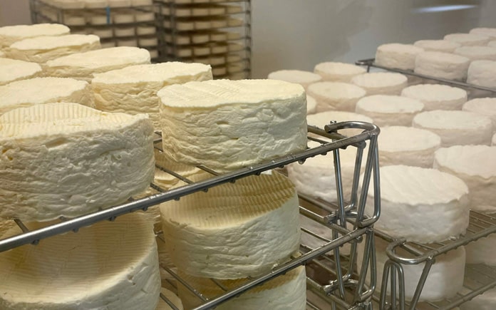 Phô mai Camembert của Pháp với vẻ ngoài đầy bắt mắt hãy cùng Foodnk tìm hiểu về loại phô mai đặc biệt này nhé!