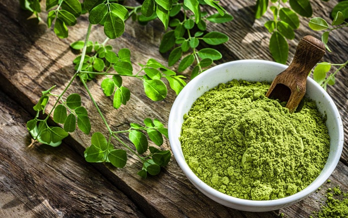 Bột chùm ngây – nguồn dưỡng chất tự nhiên giàu giá trị dinh dưỡng. Hãy cùng Foodnk khám phá sơ lược về quy trình sản xuất bột chùm ngây nhé!