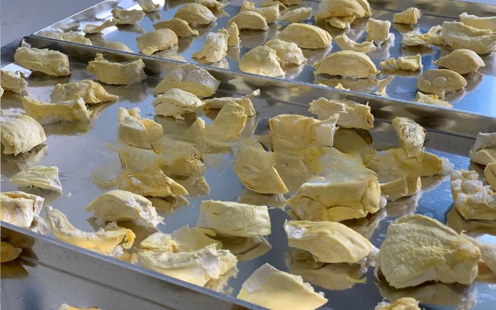 quy-trinh-san-xuat-sau-rieng-say-thang-hoa-co-gi-hay-02