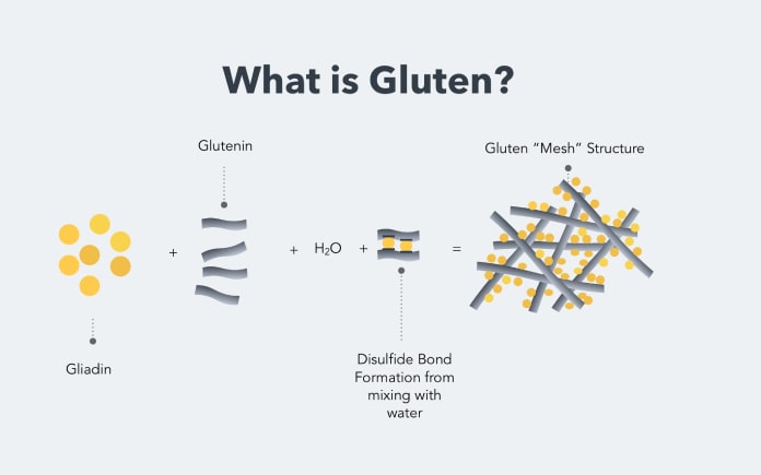 Gluten lúa mì là một loại protein không hòa tan trong nước, có vai trò trong tạo cấu trúc, độ dẻo và hương vị cho sản phẩm làm từ bột mì.