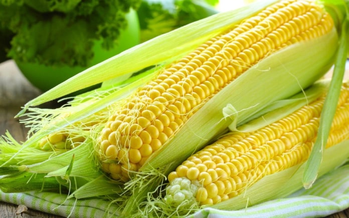 Bột chống oxy hóa được tạo từ nguồn nguyên liệu cây ngô. Để biết chúng được tạo như nào, hãy cùng tìm hiểu trong phần hai của quy trình này.