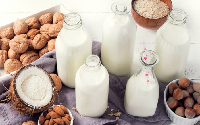 Một số người không thể dung nạp được lactose và dị ứng với sữa. Vậy sữa thay thế từ thực vật có tốt được như sữa từ động vật hay không?