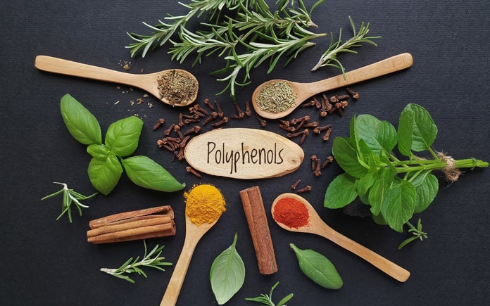 Polyphenol trong trà đã và đang nhận được nhiều sự quan tâm. Hãy cùng Foodnk tìm hiểu tác dụng của polyphenol trong trà đối với sức khỏe.