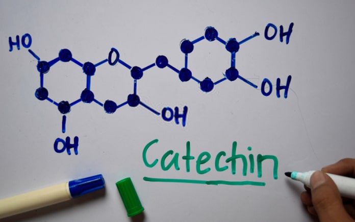 Trà hòa tan với sự tiện lợi, đa dạng, đây là loại trà không thể thiếu trong các loại thức uống được tiêu dùng nhiều.