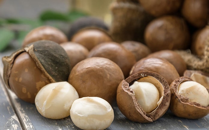Hạt macca, nổi tiếng với giá trị dinh dưỡng cao. Trong bài viết này, hãy cùng Foodnk tìm hiểu rõ hơn về quy trình chế biến hạt macca nhé!